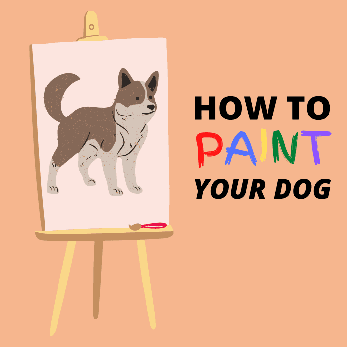 Learn how to paint a portrait of your dog in 10 easy steps. 