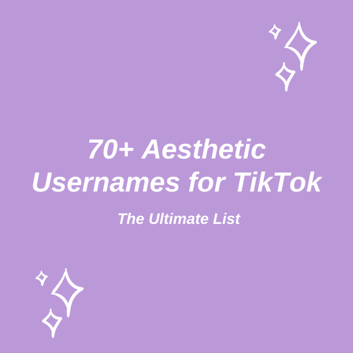 70 Aesthetic Usernames For TikTok The Ultimate List HubPages