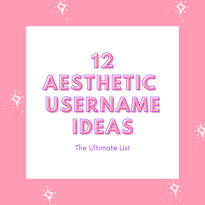 Aesthetic Usernames Ideas The Ultimate List Turbofuture