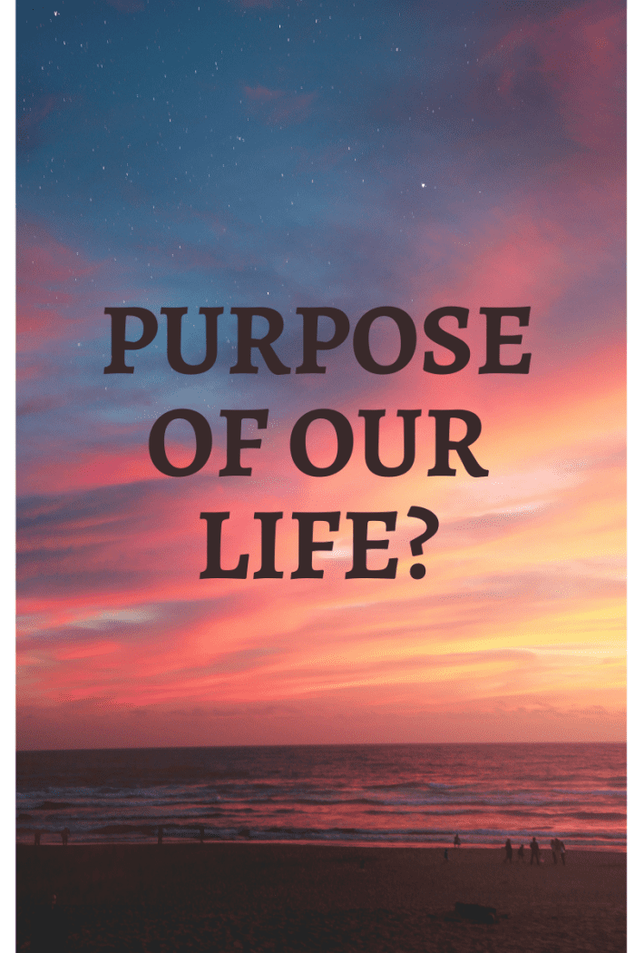 Purpose of Life - HubPages