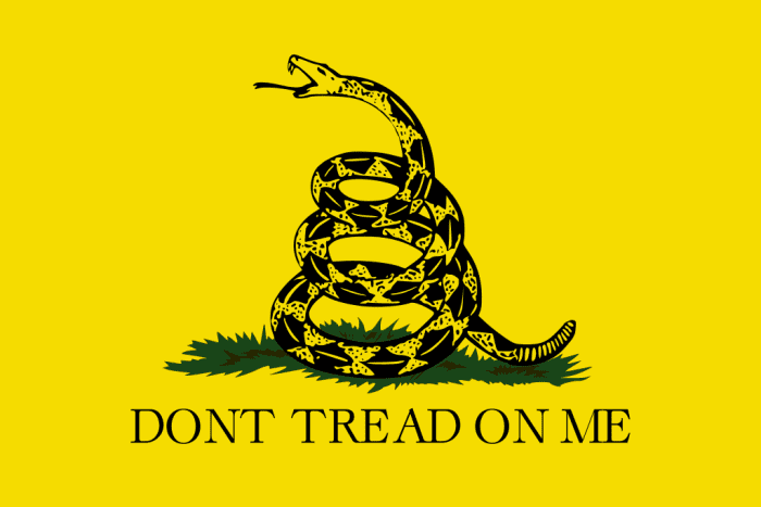 This historic U.S. Gadsden flag is a cool design, but flags are calls to action and don't belong on a wall in a room dedicated to rest and relaxation. Better, hang it in a clubhouse or workout room.