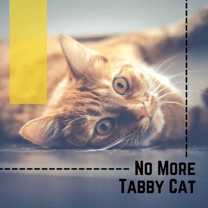 How to correct patchy "tabby cat" hair
