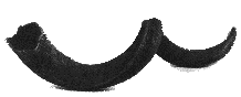 The name "Rosh Hashanah" is not used in the Bible to discuss this holiday. The Bible refers to the holiday as Yom Ha-Zikkaron (the day of remembrance) or Yom Teruah (the day of the sounding of the shofar). The holiday is instituted in Leviticus 23:24