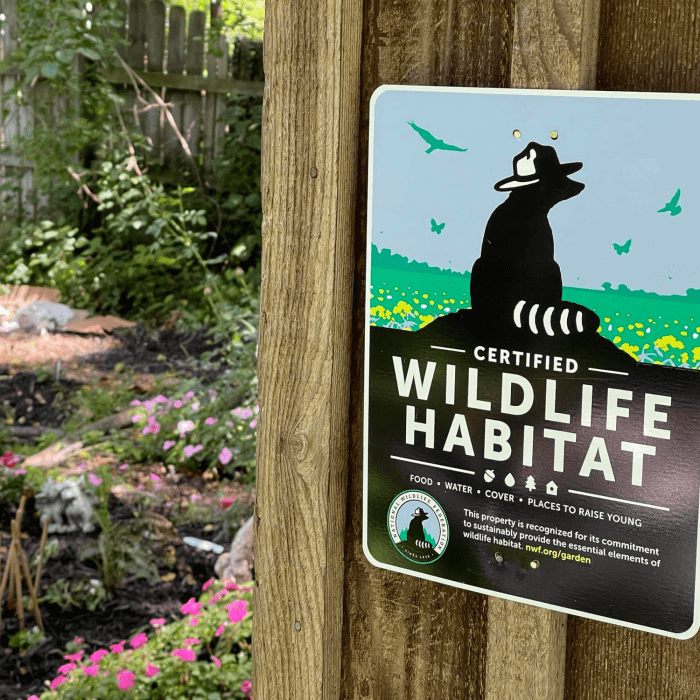 Show your commitment to helping wildlife by proudly displaying your Certified Wildlife Habitat sign in your garden or yard.