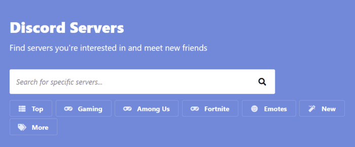 Searching for specific servers using Top.gg. In order to search for specific servers around a dedicated interest, try searching directly using the search box.