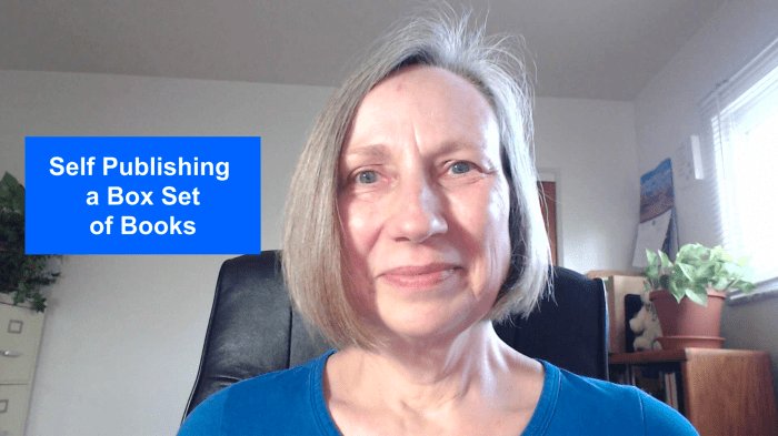 Yes, self-published authors can and do create box sets, but this route may not work for everyone.
