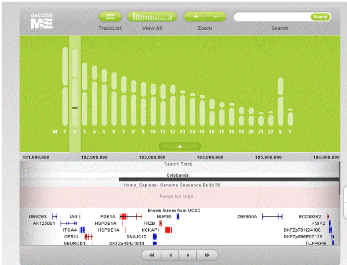 The Gene Browser provides some very in-depth information on each chromosome, for the genetic geeks out there.
