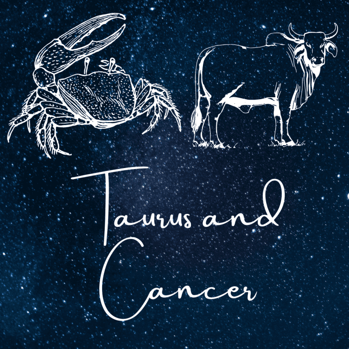 Astrology Guide How Taurus and Cancer Get Along Exemplore