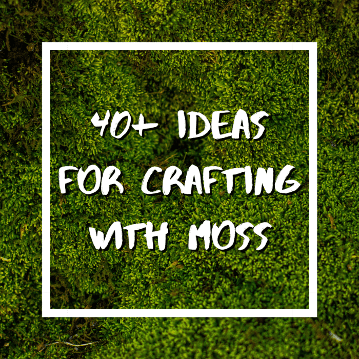 Ever wondered what to do with moss? Believe it or not, you can craft moss into a huge range of unique and fun DIY items!