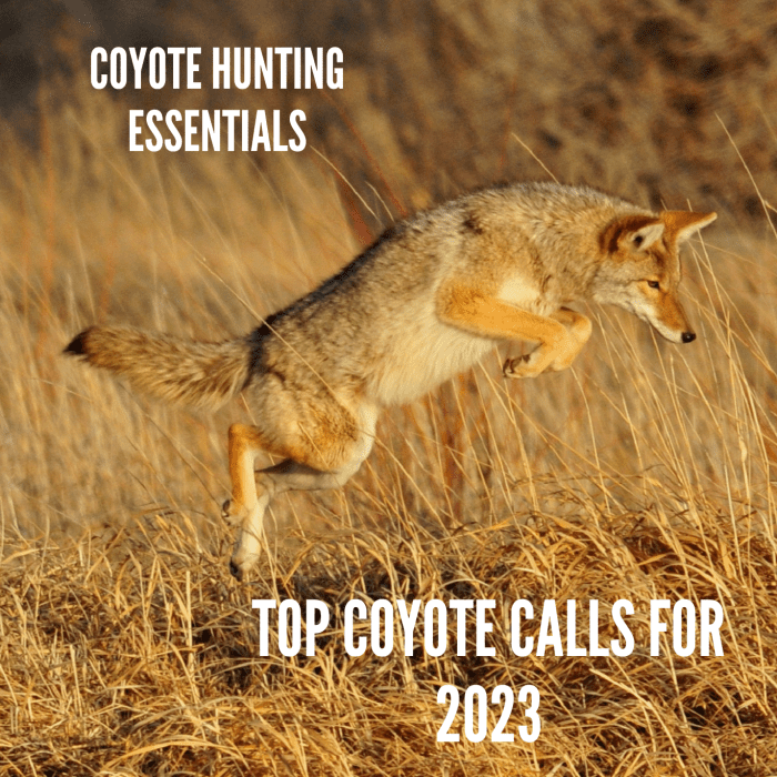 Coyote Hunting Gear: 3 Best Non-Electronic Predator Calls For 2023 ...