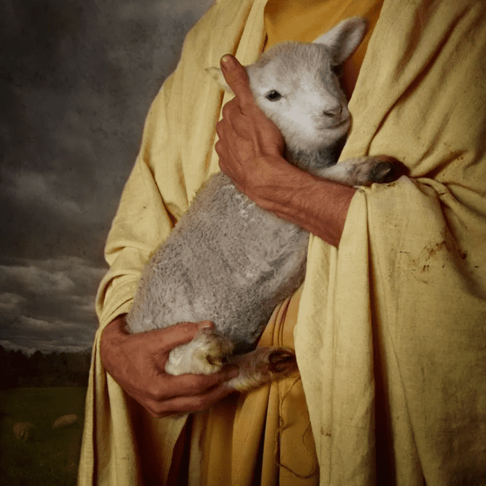 What man of you, having a hundred sheep, if he loses one of them, does not leave the ninety-nine in the wilderness, and go after the one which is lost until he finds it? And when he has found it, he lays it on his shoulders, rejoicing. – Luke 15:4-5