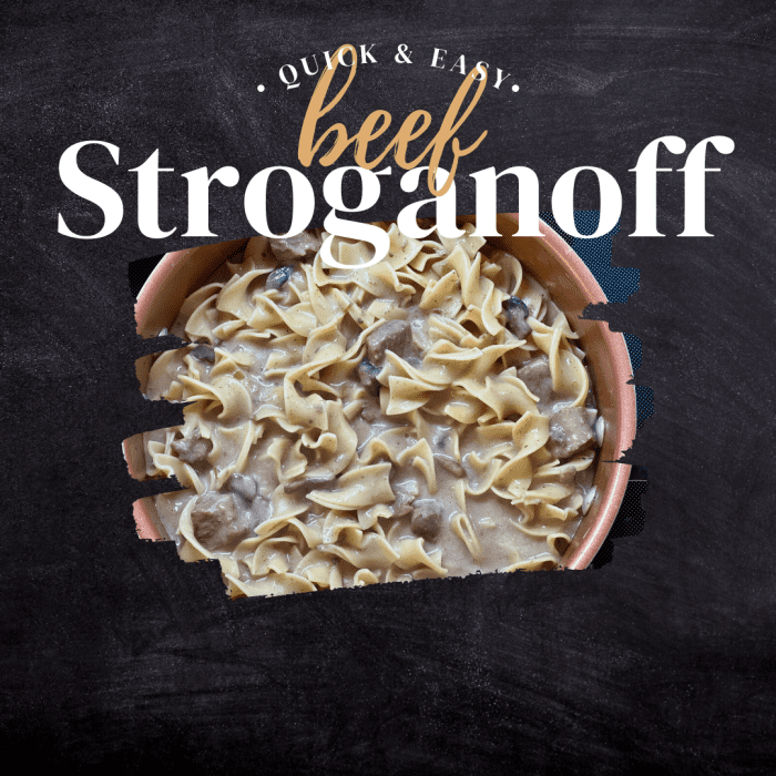 Easy Beef Stroganoff Recipe Cream of Mushroom and French Onion Soup