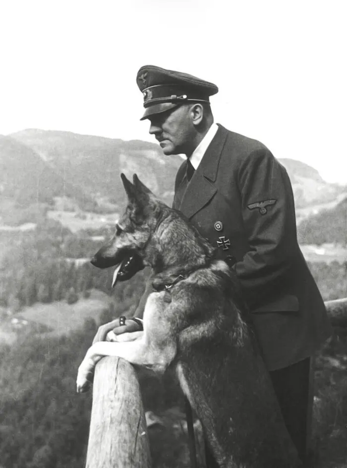 dog-and-hitler.webp