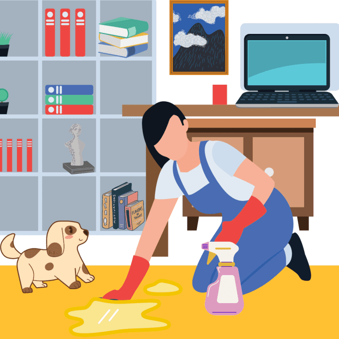 What Can I Spray on My Carpet to Stop My Dog From Peeing on It