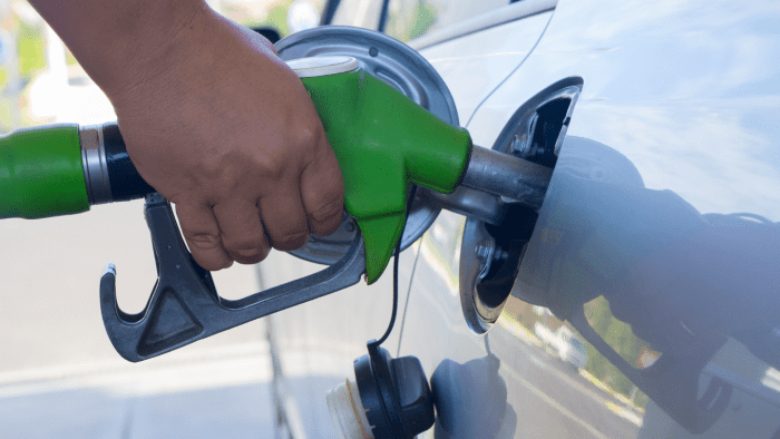 Biomass can be converted into a variety of biofuels, including ethanol, biodiesel, and biogas.