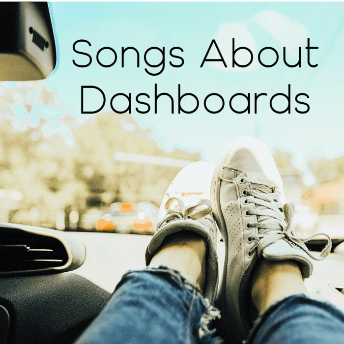 61 Songs That Mention Dashboards Spinditty