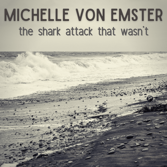 Michelle Von Emster What Really Happened The Crimewire