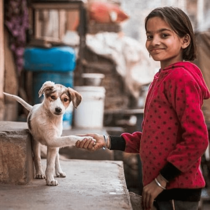 100-indian-desi-indie-or-pariah-dog-names-with-meanings-hubpages