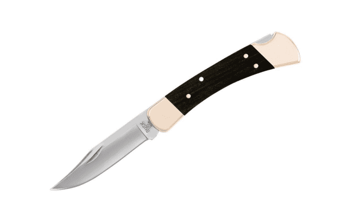 A Review of the Buck 110 Folding Hunter: AKA the 