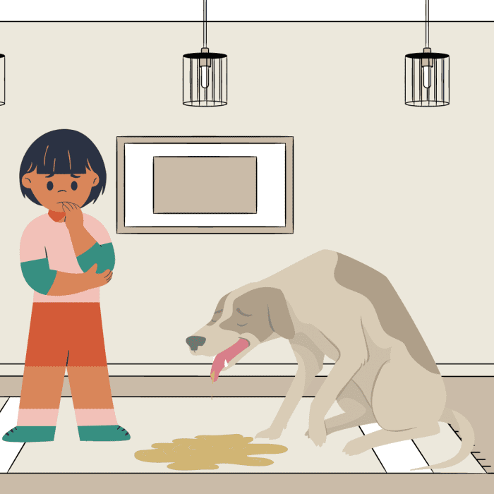 10 Possible Reasons Your Dog Is Throwing up Yellow Liquid PetHelpful