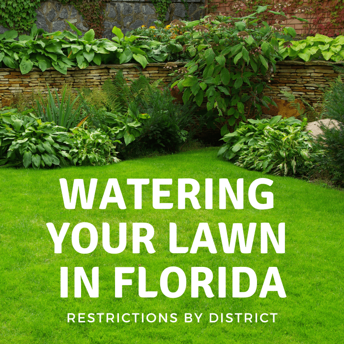 When Can I Water My Lawn? Florida Water Restrictions - Dengarden