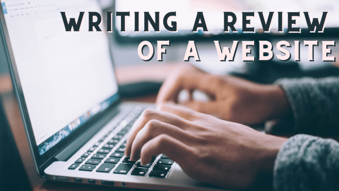 how to write a website review essay