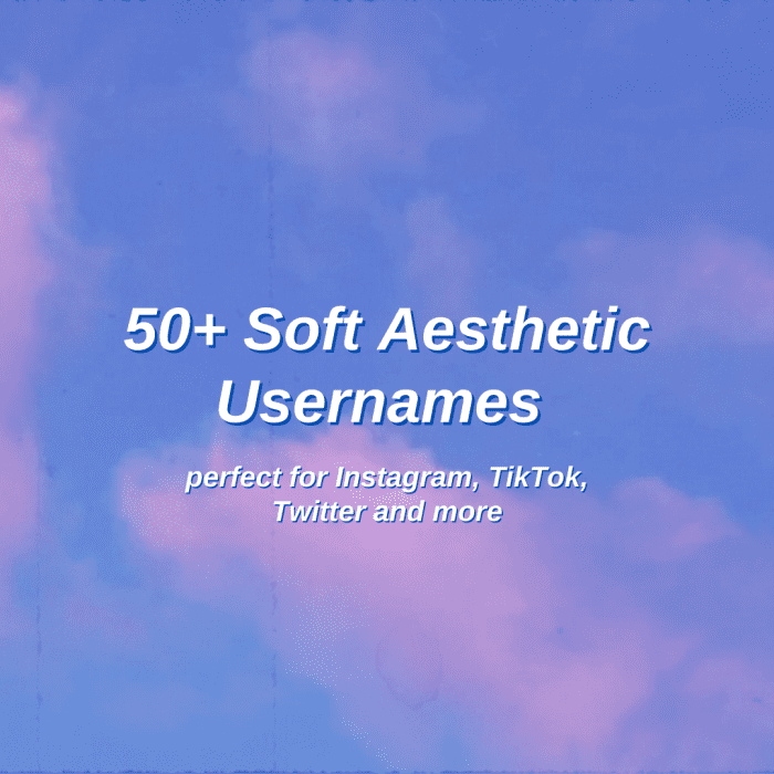 50+ Soft Aesthetic Usernames: The Ultimate List - TurboFuture
