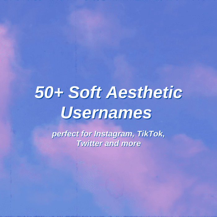 Soft Aesthetic Usernames The Ultimate List Turbofuture