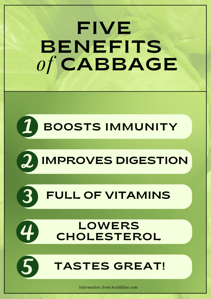 How Does the 7Day Cabbage Soup Diet Work? Steps, Recipe, and More