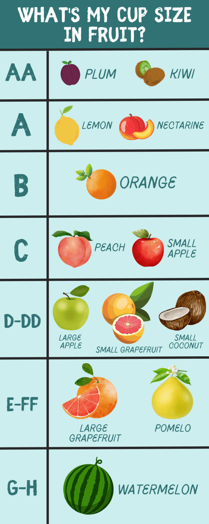 Your Bra Size Compared to Fruit (Comparison Chart) - HubPages