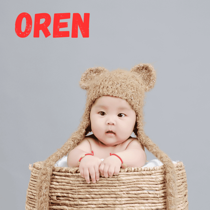 cute-baby-names-pt-2-boys-names-artofit