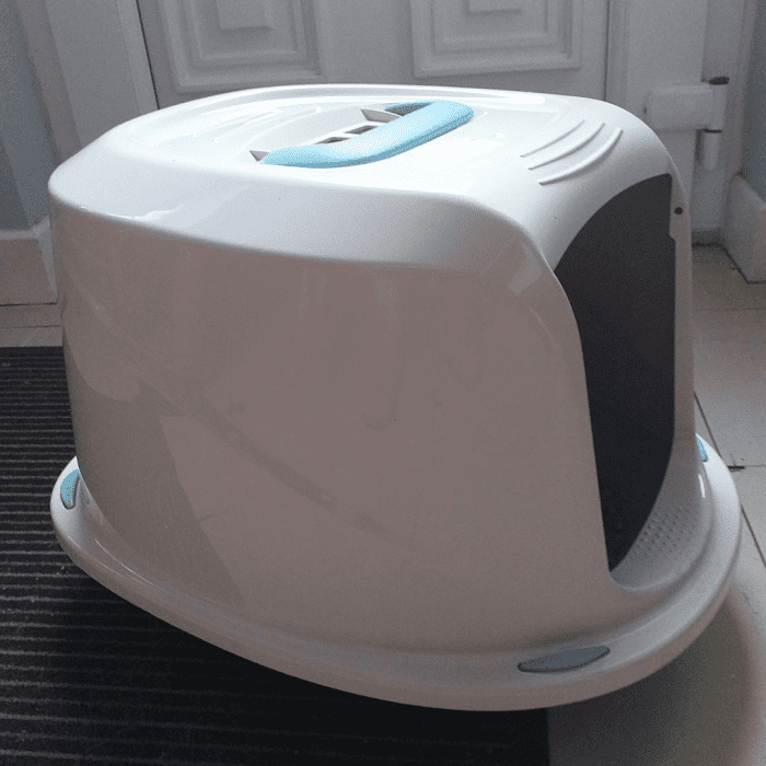 Best Type of Litter Box for a Vertical Peeing Cat PetHelpful