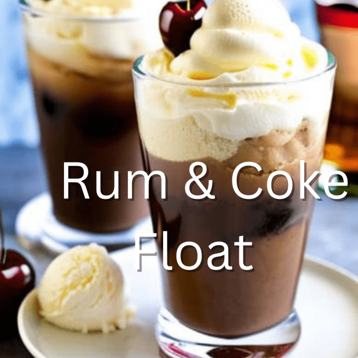 Rum & Coke Float HubPages