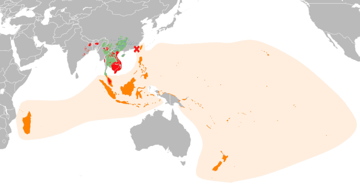 the-14-major-language-families-and-their-evolution-owlcation