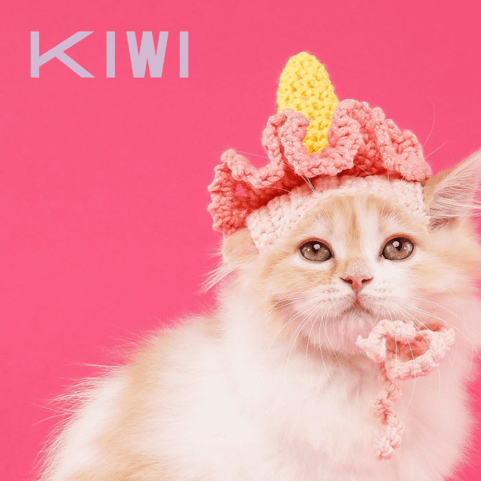 300+ Cute Cat Names PetHelpful