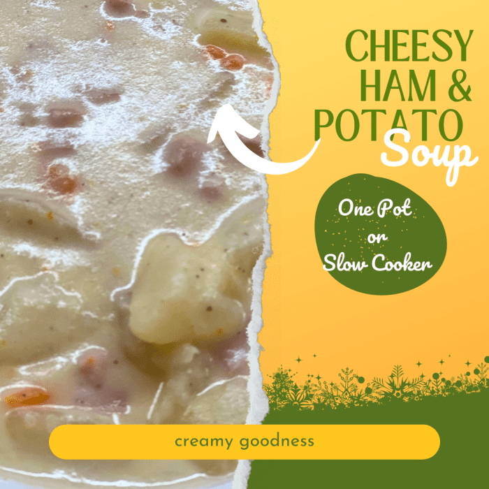 OnePot Cheesy Ham and Potato Soup Recipe Delishably