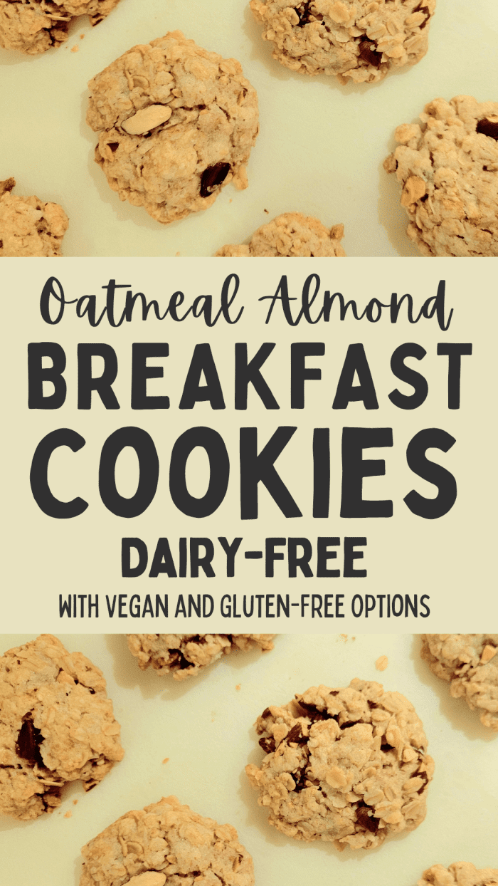 Healthy Oatmeal Almond Breakfast Cookies (DairyFree) Delishably