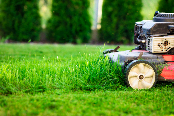 How to Sharpen Lawn Mower Blades - HubPages