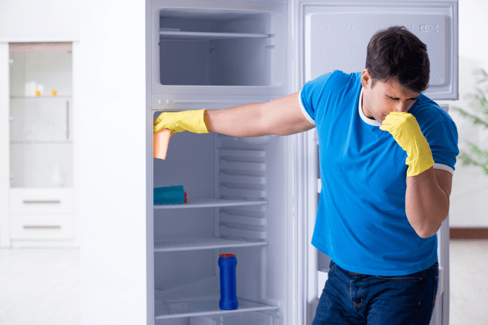 How to Clean a Smelly Refrigerator and Freezer (Interior and Exterior ...
