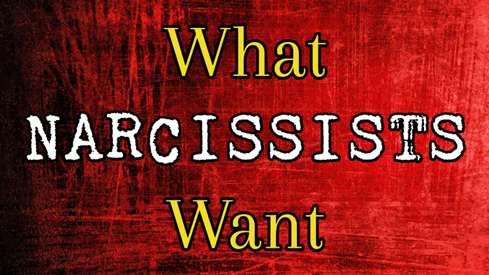 What Narcissists Want - HubPages