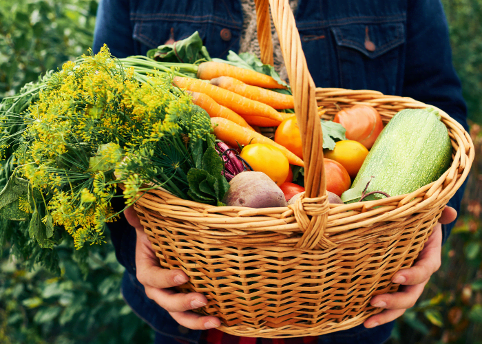 Bartering A Frugal and Environmentally Conscious Lifestyle Choice