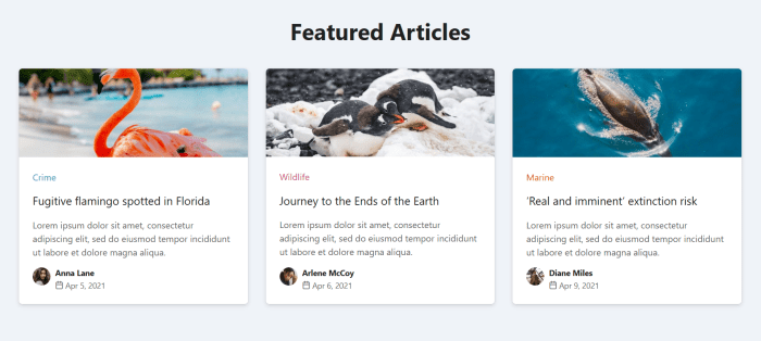 9 Stunning React Cards You Can Add to Your Website: The Ultimate List ...