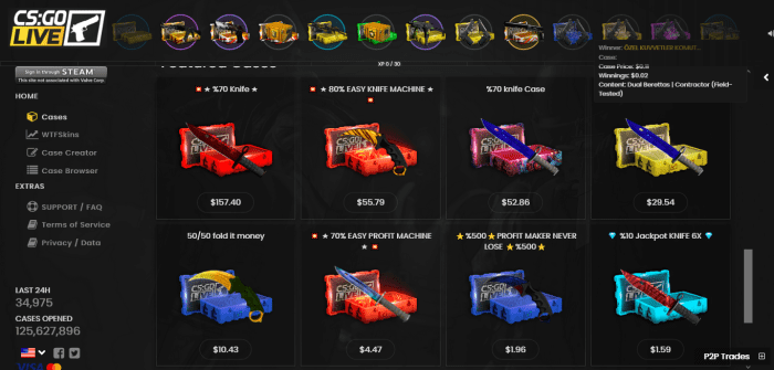 Best CS2 Case Opening Sites - HubPages