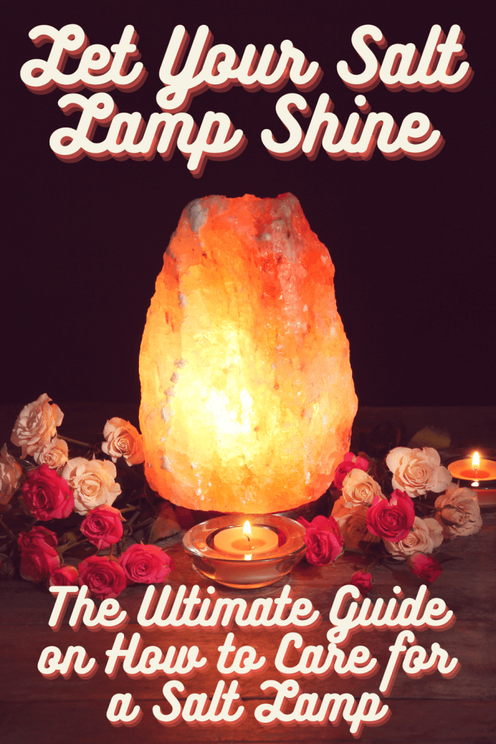 Let Your Salt Lamp Shine The Ultimate Guide on How to Care for a Salt