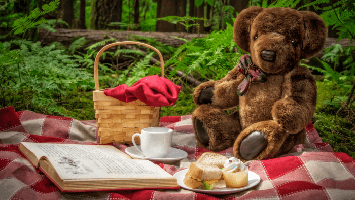 How to Throw a Teddy Bear Picnic - WeHaveKids