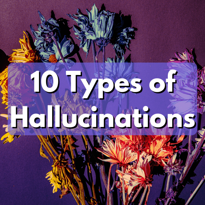 10 Types Of Hallucinations - Owlcation