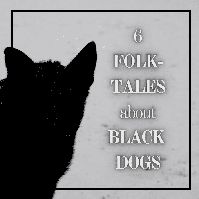 This article discusses 6 intriguing stories about mysterious black dogs in the British Isles and elsewhere. Read on to find your favorite canine folktale.