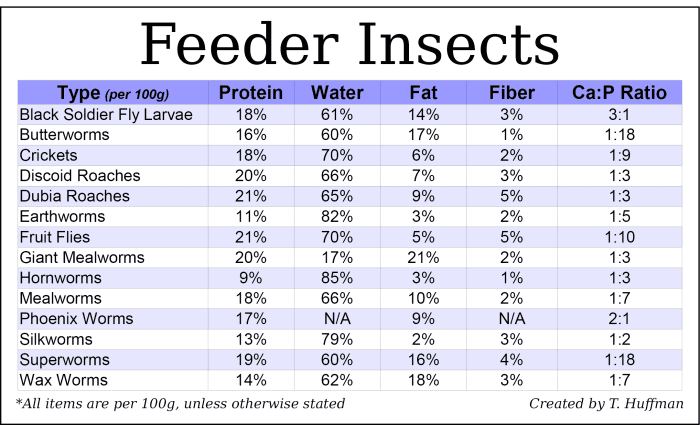 Feeding Guide for Your Bearded Dragon - PetHelpful