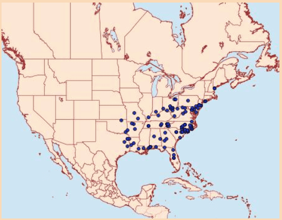 Records of Datana major in North America