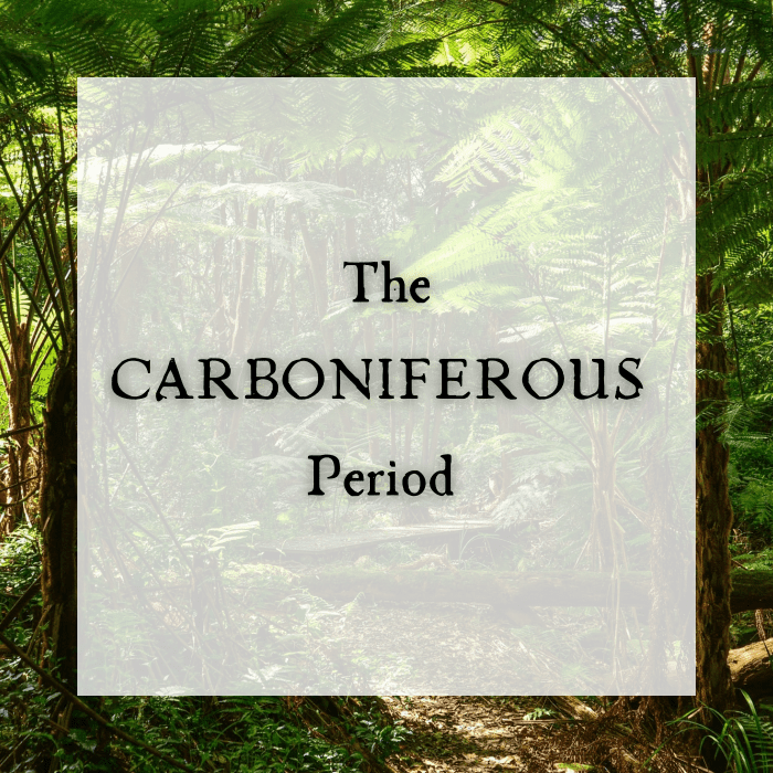 The Carboniferous Period: When Giant Insects Ruled The Land And Sky ...